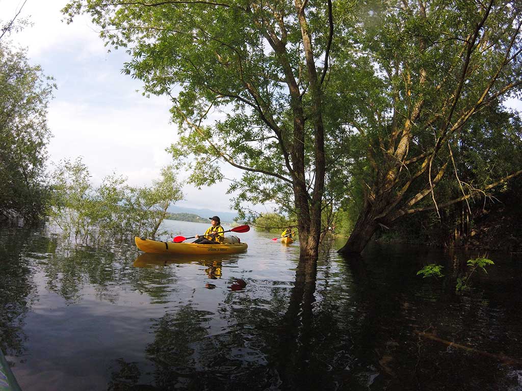 Kayak sul Lago di Bilancino