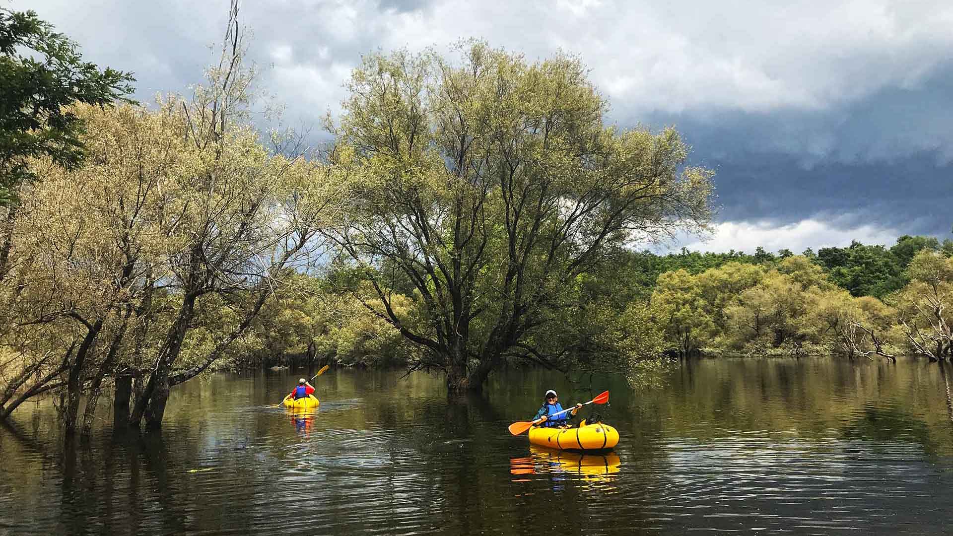Calcione_Light KAYAK